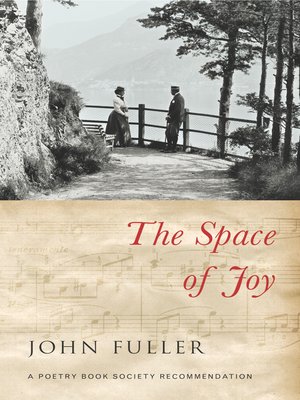 cover image of The Space of Joy